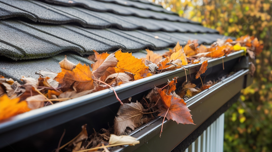 Gutter Cleaning